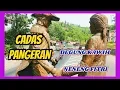 Download Lagu Degung Kawih Cadas Pangeran - Neneng Fitri