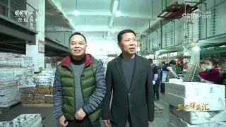 《三农群英汇》 20260911 工业村的绿色攻坚 | 农业致富经 Agriculture And Farming