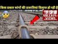 Download Lagu देखें कैसे इस दुनिया में सांपों की प्रजातियां विलुप्त हो रही है 😰| Snake in Rail Line #Shorts