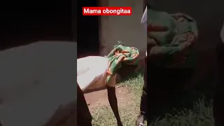 25 October 2025  25 October 2025