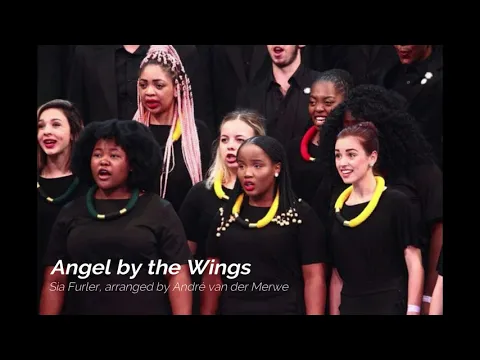 Download MP3 Angel by the Wings - Stellenbosch University Choir