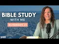 Numbers 21 A Snake on a Pole Bible Study WITH Me