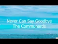 Never Can Say Goodbye - The Communards (Subtitulada en Inglés y en Español)
