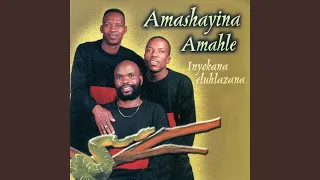 akunani bazali bami