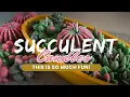 Lagu Laten we succulentkaarsen maken in een Aqua Cast-pot! Ik vind dit geweldig!