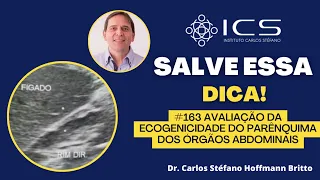 Avaliação da ecogenicidade do parênquima dos órgãos abdominais