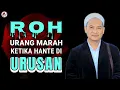 Download Lagu ABUYA UCI TURTUSI || ROH MARAH KETIKA HANTEU DI URUSAN‼️