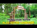 Download Lagu MENELUSURI HUTAN ALAS KETHU WONOGIRI