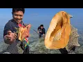 Download Lagu BANYAK BIOTA LAUT DI LINDUNGI SAAT CARI KERANG DI PULAU TERPENCIL 