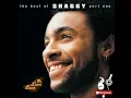 Download Lagu Shaggy - Boombastic (Sting Remix)