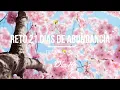 Download Lagu Reto de Meditacion Creando Abundancia DIA 16 | Deepak Chopra | 21 Días