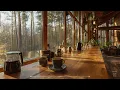 Take It Slow ☕️ [Chill Acoustic, lofi mix] Forest Café BGM to Unwind and Breathe｜study, work, relax
