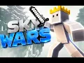 DILIVERY BOIII -Skywars
