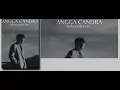 SEKECEWA ITU ( ANGGA CANDRA ) lirik Music #music #lagu 