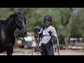 Introducing Your Horse to Bitless Riding