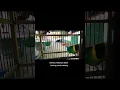 Download Lagu Viral Burung Cucak Ranting Ada Enam Jenis
