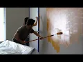 The Home Depot Behr Paints Commercial 2010