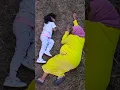 Kasian ibu dan anak #chikaku #shortsvideo #shortsvideo #short