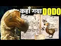 The Real Reason Why DODO Bird Got Extinct