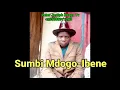 Download Lagu Sumbi Mdogo - Nalegwese Elibenhe (Official Music Audio 2021)