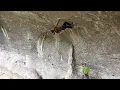 Cornélia 8b   Pedro Gomes