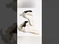 Download Lagu New ladies slippers trends 🤩💋👠 #shorts #fashion #heels #youtubeshorts #sandals #beaautiful