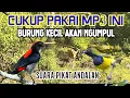 Download Lagu CUKUP PAKAI MP3 INI BURUNG KECIL AKAN NGUMPUL