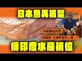 日本魚再被禁 傳印度水產補位 中國網民拷問：核輻射與大腸桿菌中二選一? 全球海鮮供應知多點｜Channel WE HK