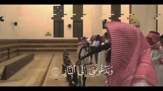 يا ق وم  إ ن  ما هذ ه  الح ياة  الد  نيا م تاع     محمد اللحيدان سورة غافر دندنها