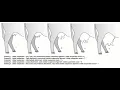 grow a cow udder subliminal