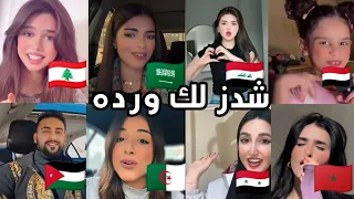 صافن شدزلك وردة كوتو موتو اغاني مطلوبة   ترند التيكتوك  دندنها