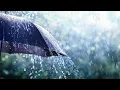 Showers and storm chances return Thursday
