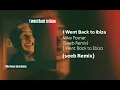 I Went Back to Ibiza(Seeb Remix) - Mike Posner 