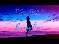 Britney Spears & Dani Sylvia - Everytime (Reinterpretation by Maxi Wox)