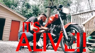 It’s ALIVE! – Van Life 156