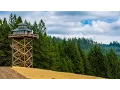 Living In A Fire Lookout Tiny Home Tour Zillow