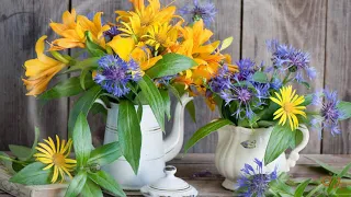  goodbye july welcome august beautiful colors of august 