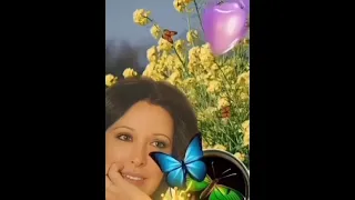 يسري أشرم سهرانة قلوبنا بتستنى 