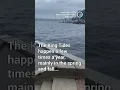 WICKED Kiing Tides in Boston