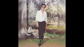 من روائع ما غنى الشاب الزهواني 