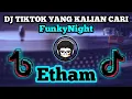 Download Lagu DJ ETHAM TIKTOK REMIX TERBARU 2020 FULL BASS | TIK TOK VIRAL | FUNKY NIGHT