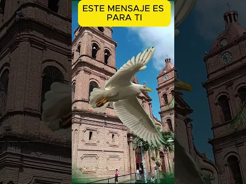 Naciste Para Volar Alto: Una sorpresa te viene - aceptala