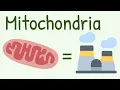 Mitochondria Structure Functions