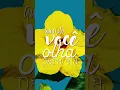 Quando você olha pra ela - Gal Costa
