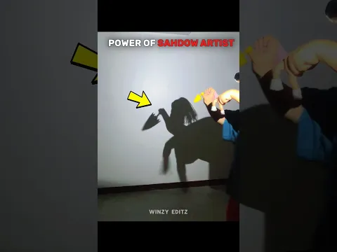 The Power of Shadow Art π¨π