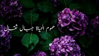 هموم الحياة جبال ثقال 