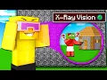 Download Lagu I Cheated with X-Ray in a Minecraft Build Challenge!