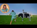 “Pigs on the Loose!” 🐷 Farm Animal Adventure | Floor is Lava Game | Danny Go! Dance Songs for Kids