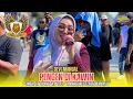 Download Lagu Pengen Di Kawin Voc . Devi Manual  Singa Depok Angga Putra Tamansari Lelea Indramayu