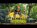 Download Lagu 🇯🇲LAGU REGGAE ACARA TIMUR TERBARU 2025 || SEMBILU ||Wioreko Remix @wiorekomusicx @Ferry61official